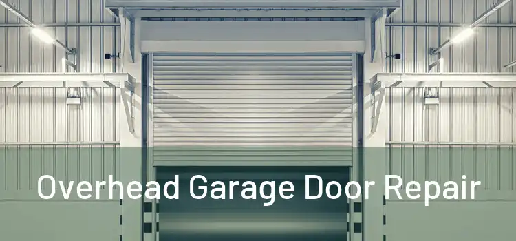  Overhead Garage Door Repair 