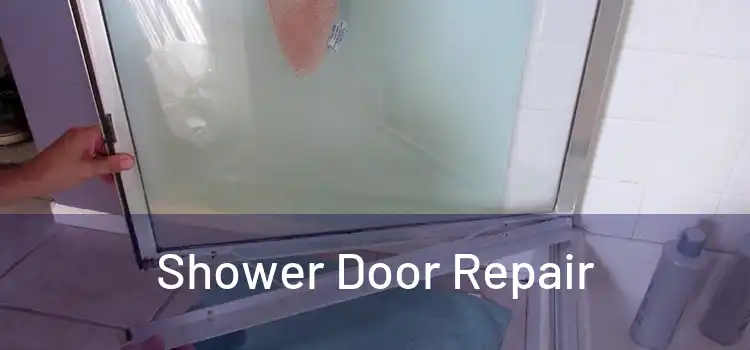  Shower Door Repair 